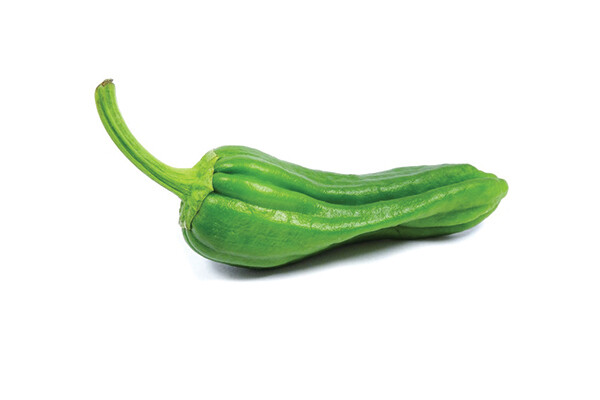 Padron Spanish Fryer