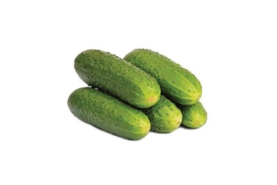 National Pickling Cucumber
