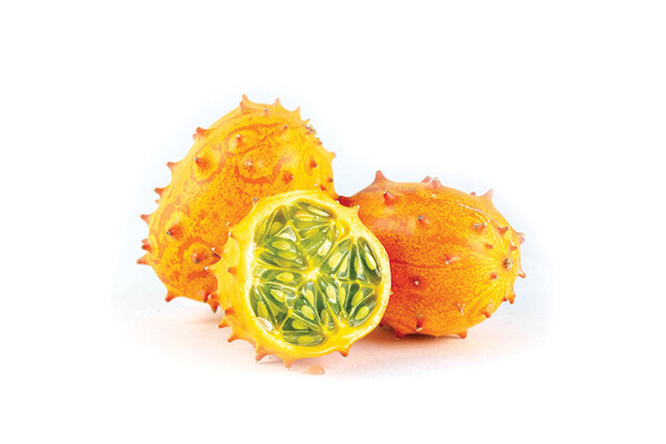 Jelly Melon Cucumber