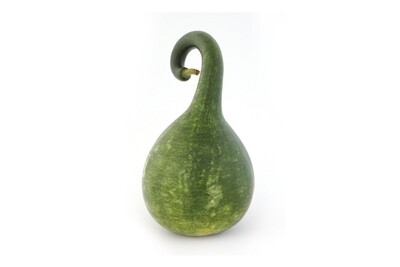 Speckled Swan Gourd