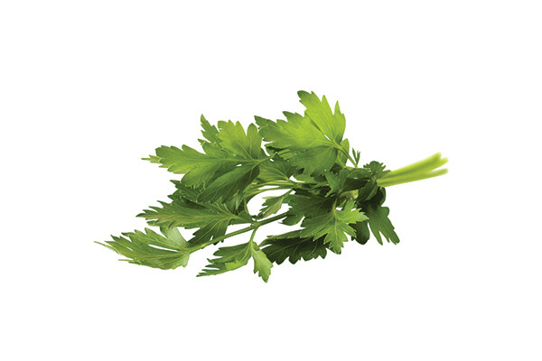 Italian Flat Leaf Parsley