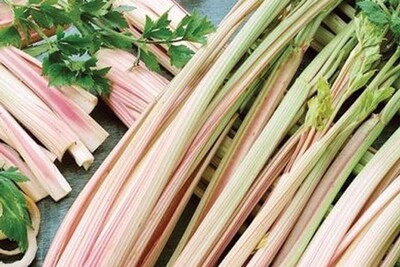 Peppermint Stick Celery