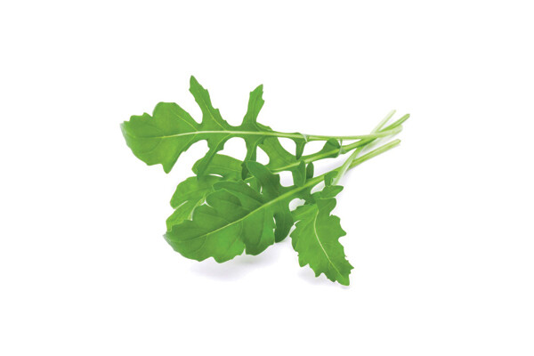 Rocket (Arugula) Rocket (Arugula)