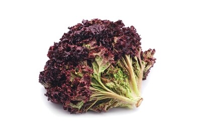 Ruby Red Lettuce