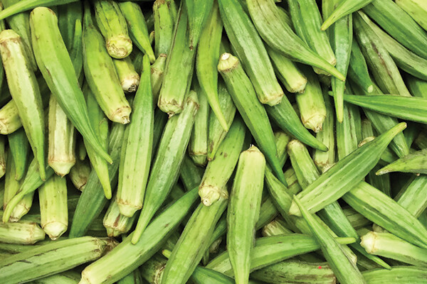 Jade Okra Jade Okra