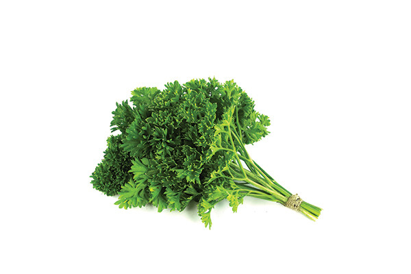 Moss Curled Parsley