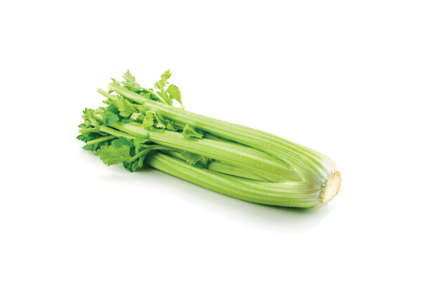 Tall Utah Celery