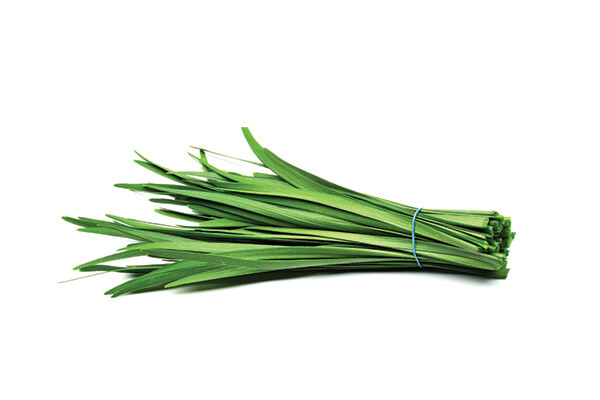 Garlic Chives