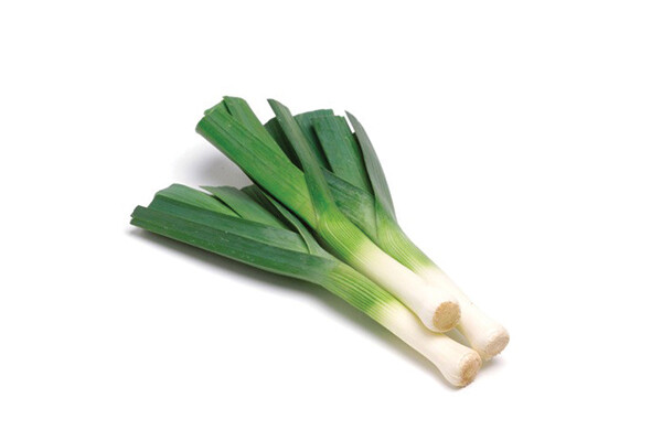 Carentan Leek Onion