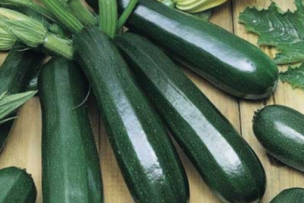 Black Beauty Marrow