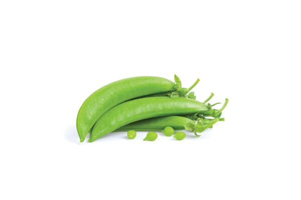 Bolero Peas