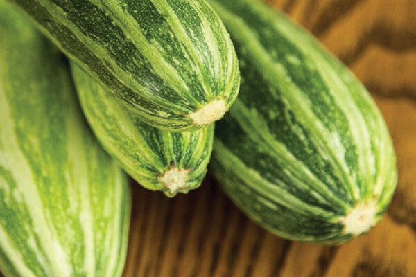 Cocozelle Zucchini