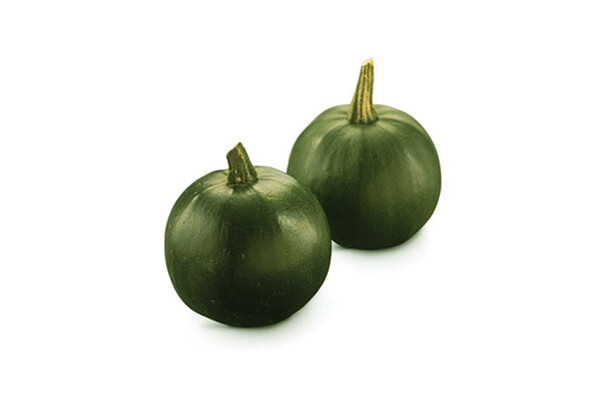 Rolet Gem Squash