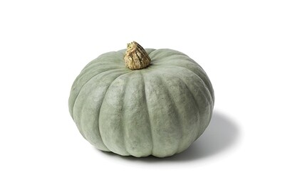 Queensland Blue Pumpkin