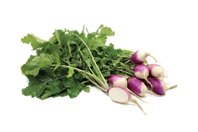 Purple Top Turnip