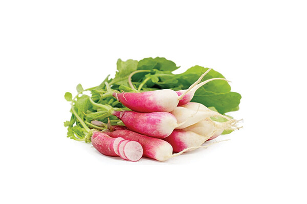 French Breakfast Radish