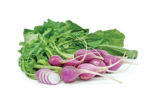 Purple Plum Radish