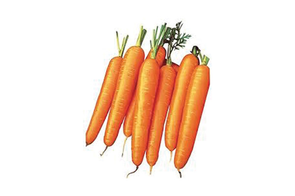 Nantes Carrot