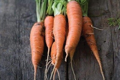 St Valery Carrot