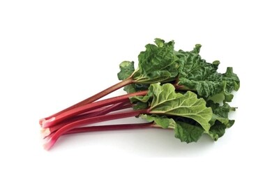 Red Rhubarb