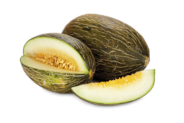 Piel De Sapo
