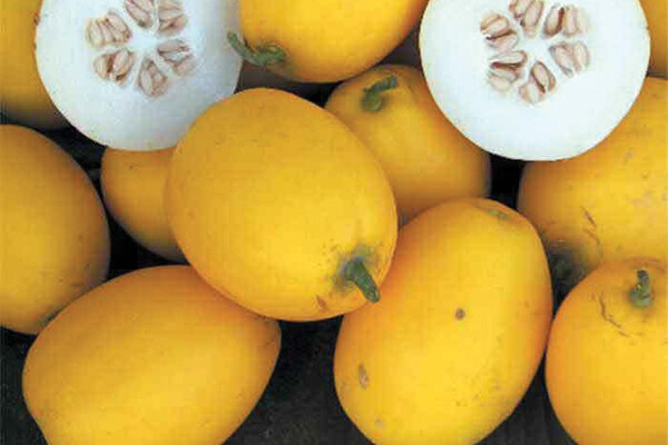 Vine Peach Sweet Melon
