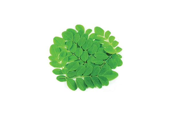 Moringa