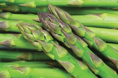 Mary Washington Asparagus