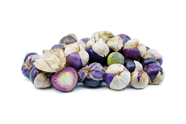 Purple Tomatillo