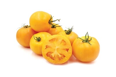 Bill's Breeder Tomato