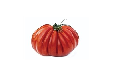 Pantano Tomato