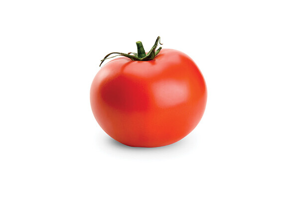 Julia Child Tomato