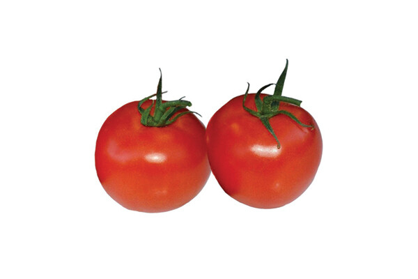 Marglobe Tomato