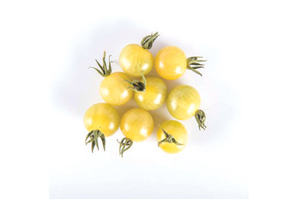 White Currant