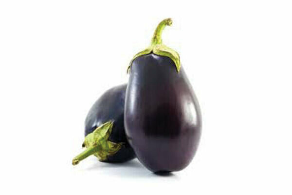 Black Beauty Eggplant