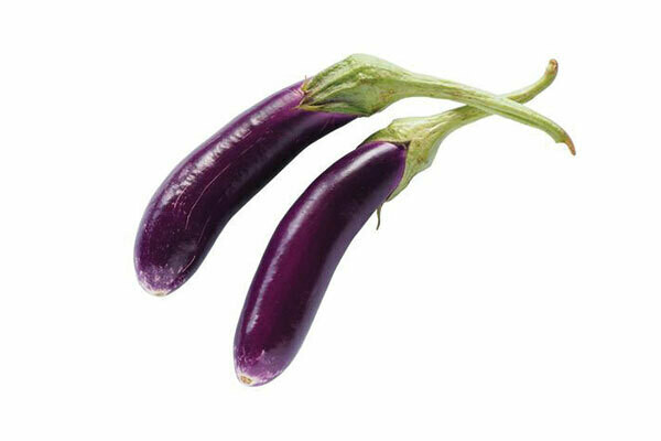 Long Purple Brinjal Long Purple Brinjal