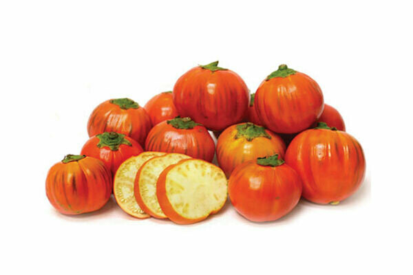 Turkish Orange Brinjals