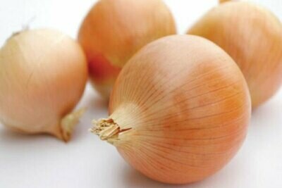 Caprico Onion