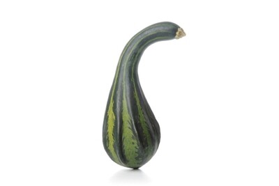Gourds
