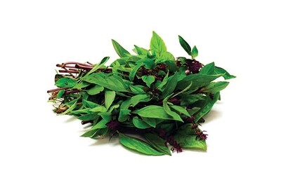 Herbs