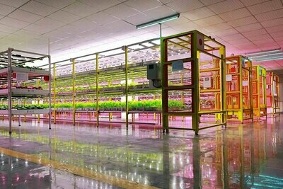 Plant Factory