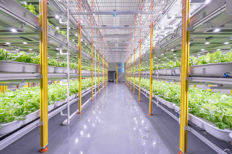 Plant Factory