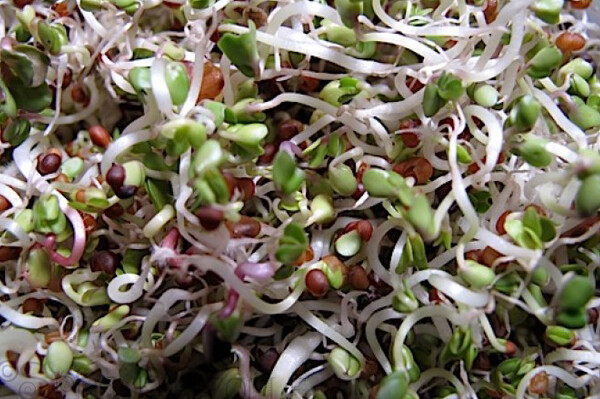 Cleansing Health Blend 200g