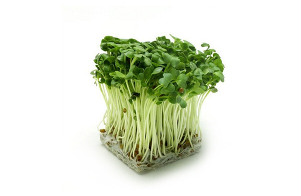 Daikon Radish 200g