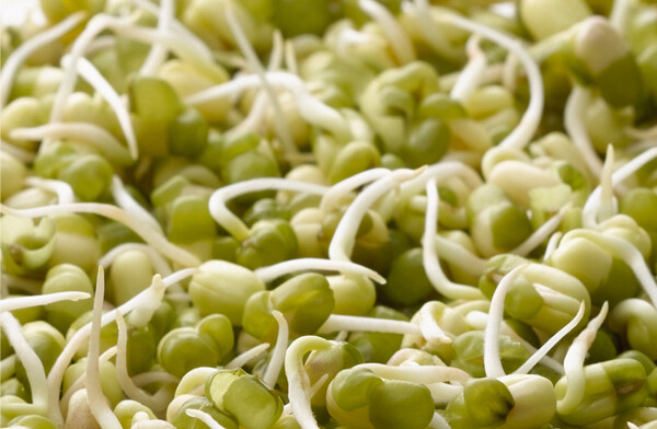 Seed Mung 200g