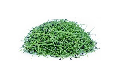 Onion Sprouts 200g