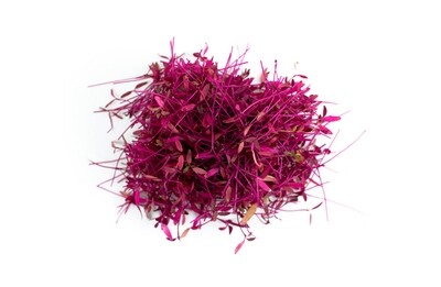 Red Amaranth 200g