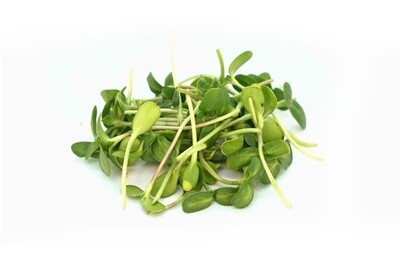 Sunflower Sprouts 200g