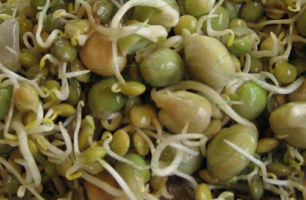 Stir-Fry Blend 200g