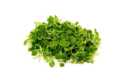 Sprouting Peas 200g